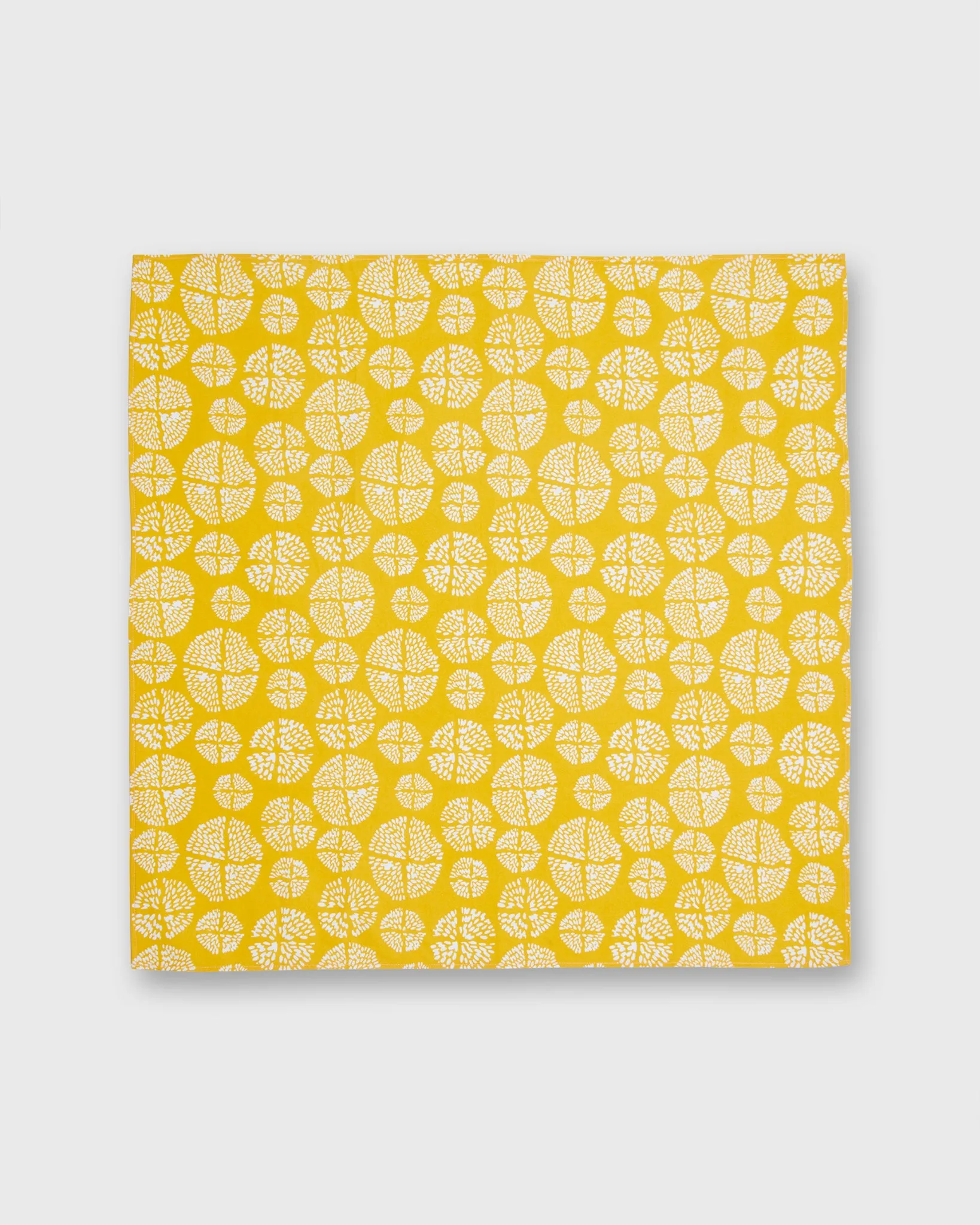 Bandana in Yellow/White Novelty