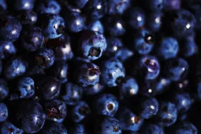 Blueberries I