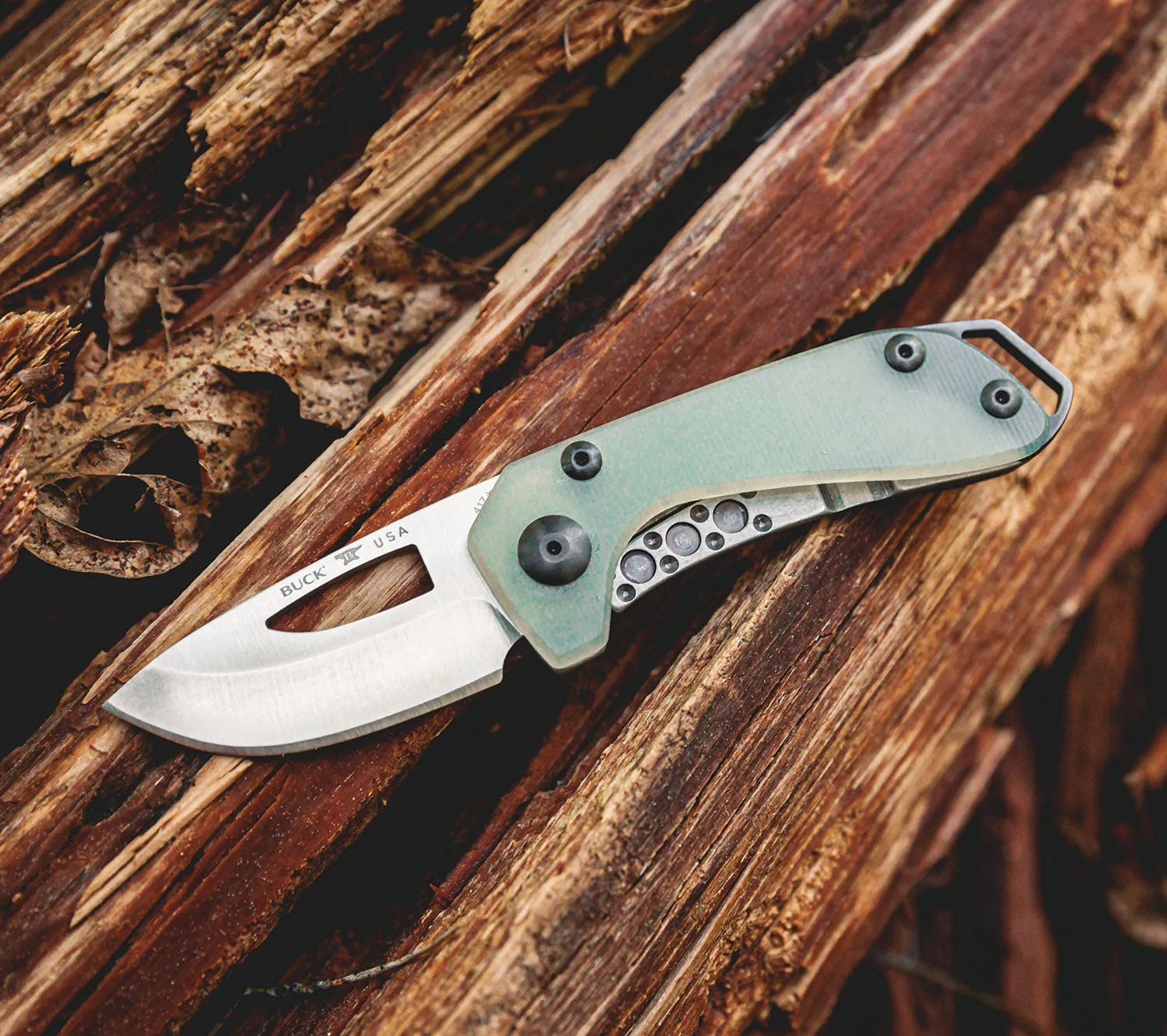 Buck Budgie Knife