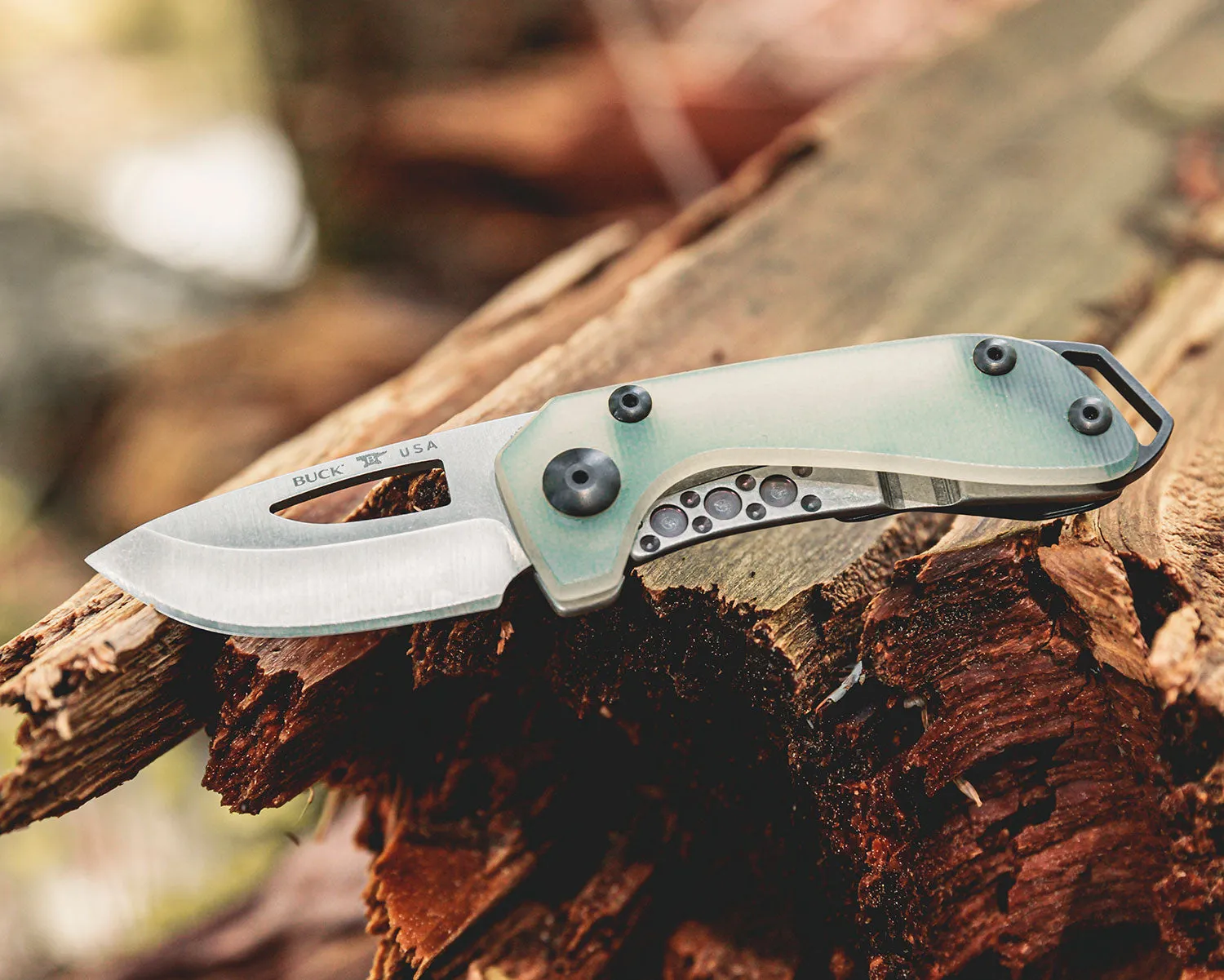 Buck Budgie Knife