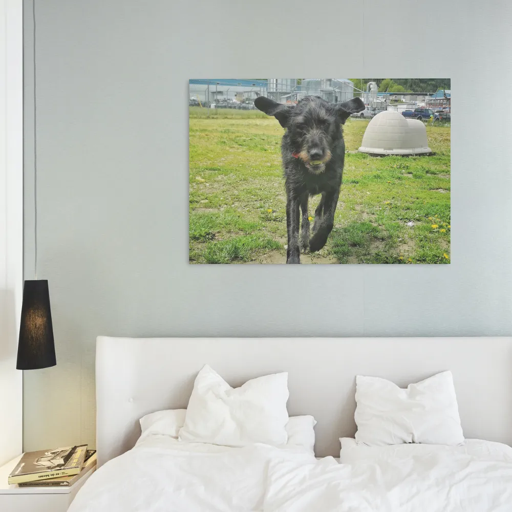 Custom Pet Canvas Print