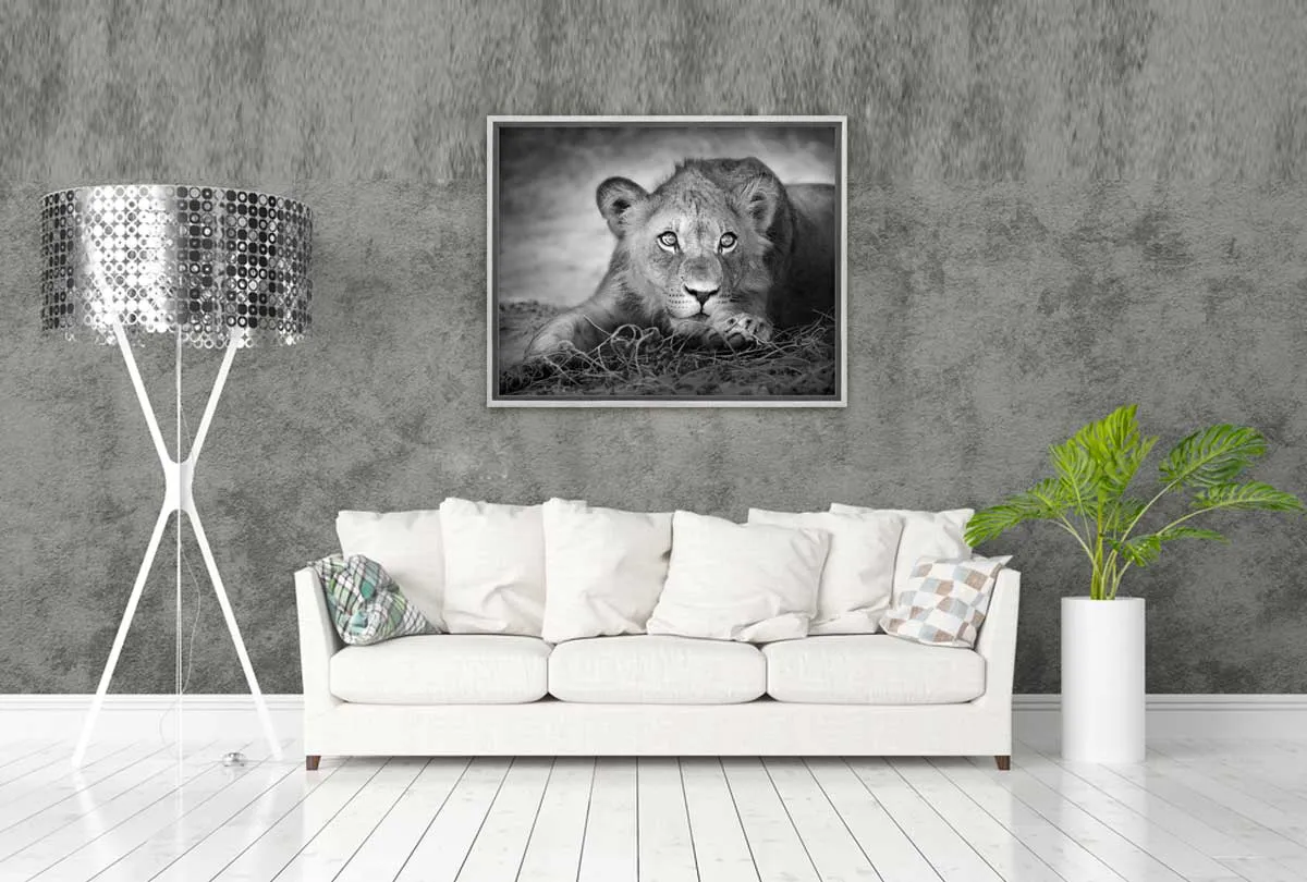 Lioness | Animal Canvas Wall Art Print