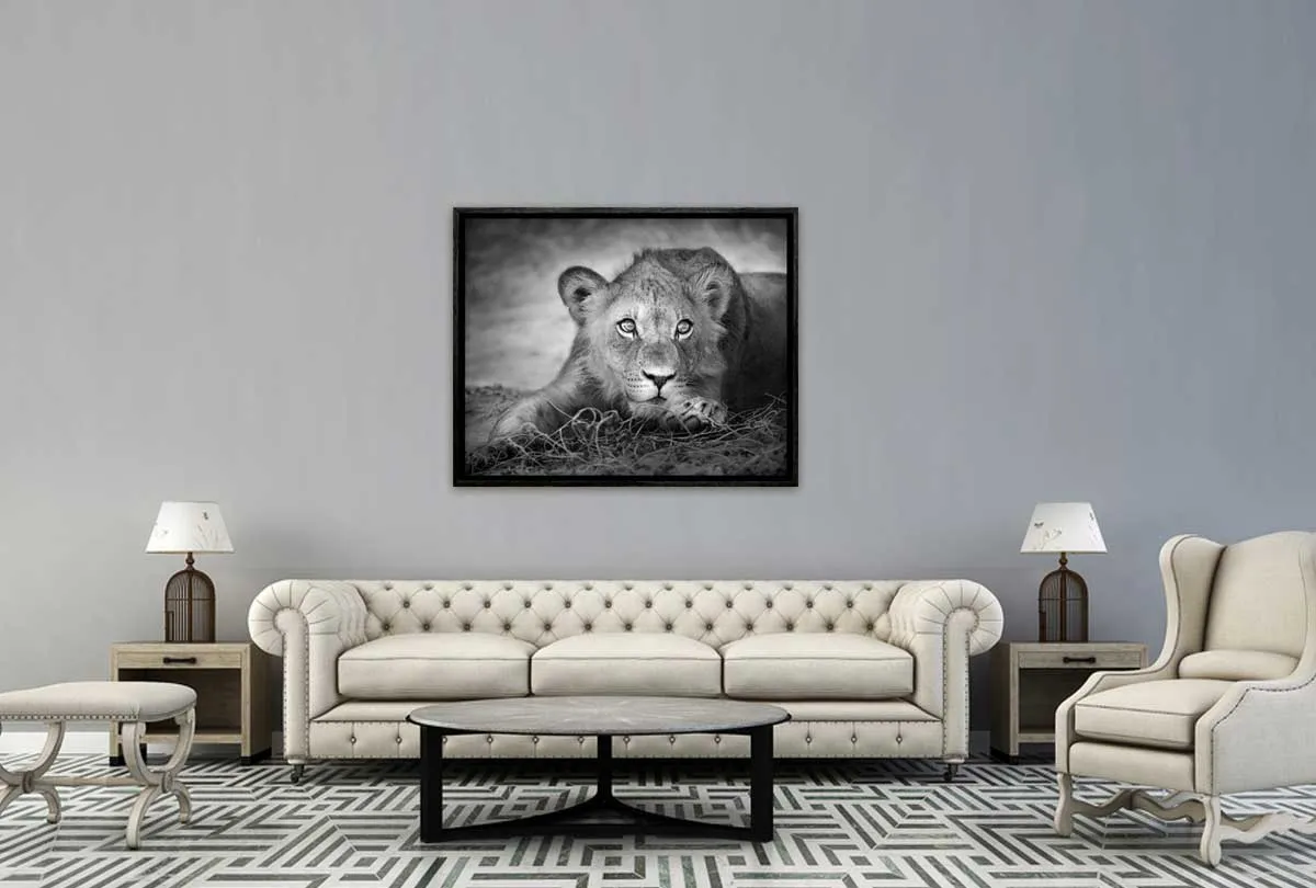 Lioness | Animal Canvas Wall Art Print