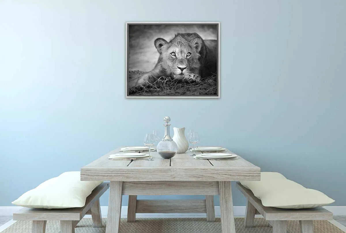 Lioness | Animal Canvas Wall Art Print